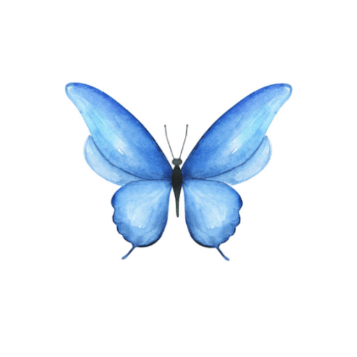 cropped-Design-sans-titre-21.png logo Que Buena Nota